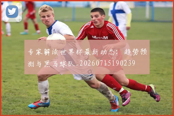 专家解读世界杯最新动态：趋势预测与黑马球队_20260715190239