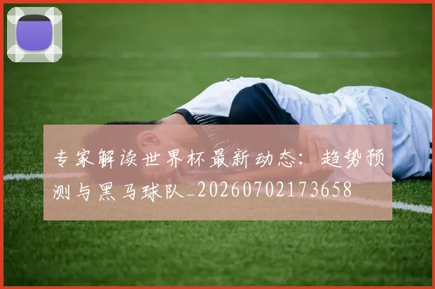 专家解读世界杯最新动态：趋势预测与黑马球队_20260702173658